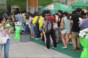 王心凌、言承旭、宋祖英、周杰倫、粱靜茹演唱會